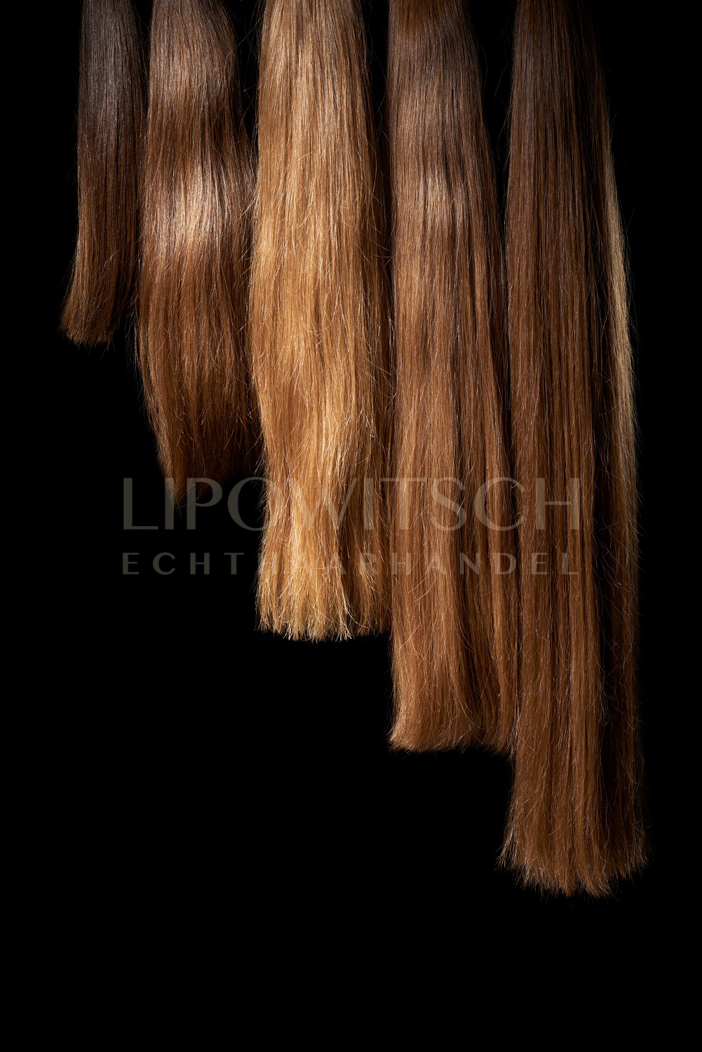 Image 10 Rohhaare https://command.com.ua/wp-content/uploads/2024/02/Image-10-Rohhaare.jpg